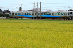 水色電車だよ♪