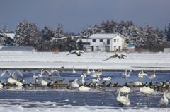 空を飛ぶって気持ちがいいよ！