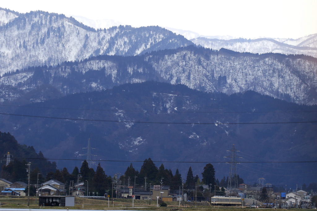 ダイコン君は走る～♪　2