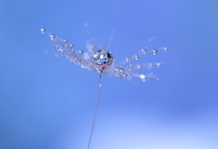 魔法のほうきひとふりで輝いた