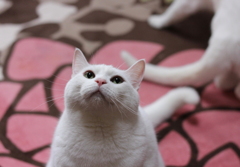 サム・・・あごチェック！