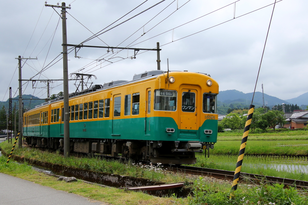 かぼちゃ君、通過します～♪