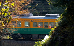 かぼちゃ君～♪・・・チラッと|дﾟ)