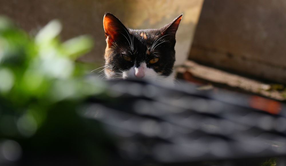 視点の先には？