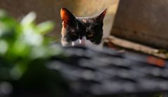 視点の先には？