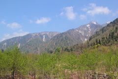 柔らかな春