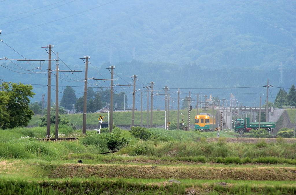 来た来た♪　カボチャ電車君