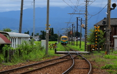 かぼちゃ君～♪待ってたよ！