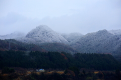 雪が来る~♪　2