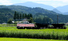 おや～！変わったのが走ってきたよ＾＾♪