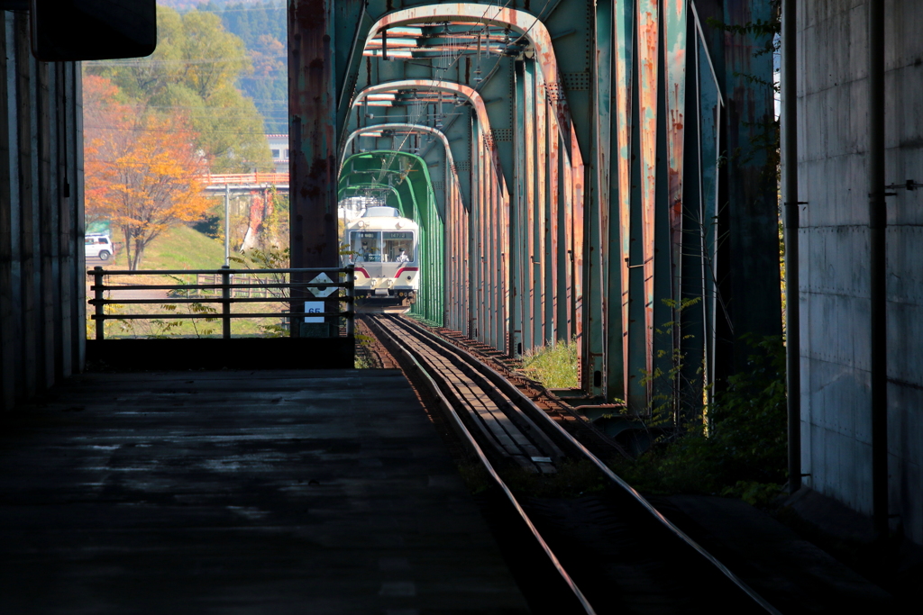 ダイコン君と紅葉と鉄橋