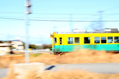 走る～♪　かぼちゃ君！