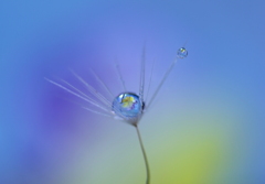 心海ＤＲＯＰＳ　78－2