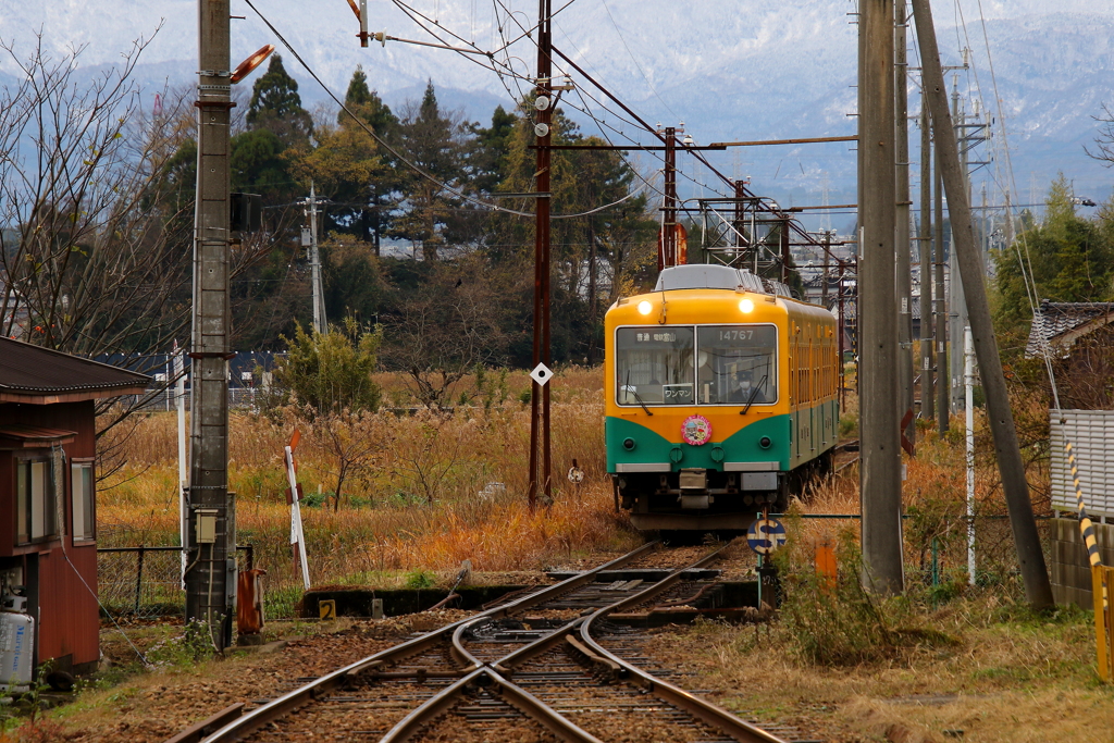 かぼちゃ君は走る～♪