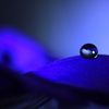 心海DROPS・・・彷森の光
