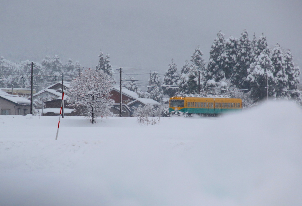 雪の中を走る～♪　かぼちゃ君