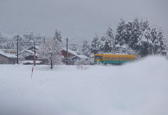 雪の中を走る～♪　かぼちゃ君