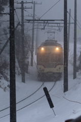 雪にも負けずダイコン君は走り続ける
