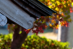 これから紅葉・・・