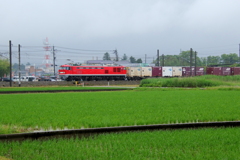 レッドサンダー