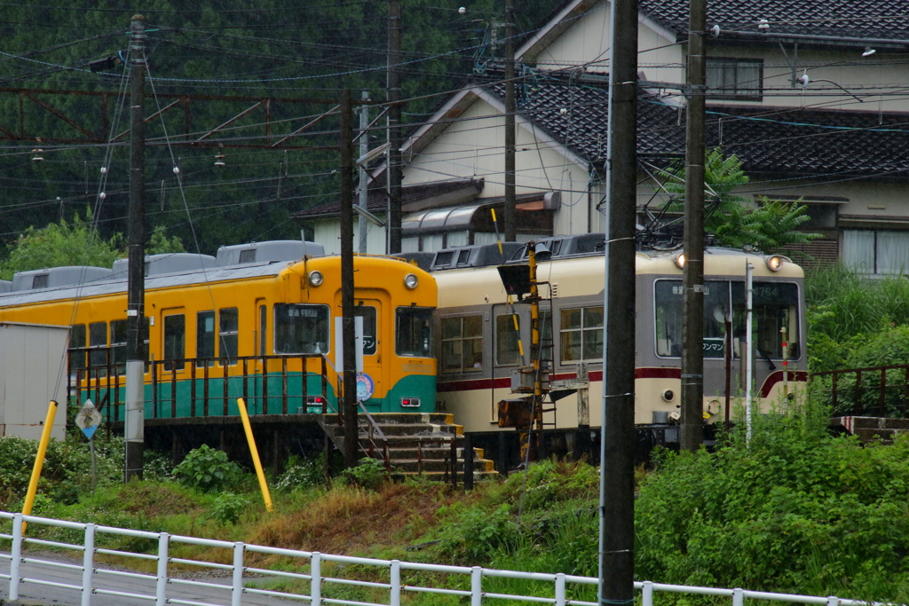 かぼちゃ君とダイコン君～♪