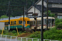 かぼちゃ君とダイコン君～♪