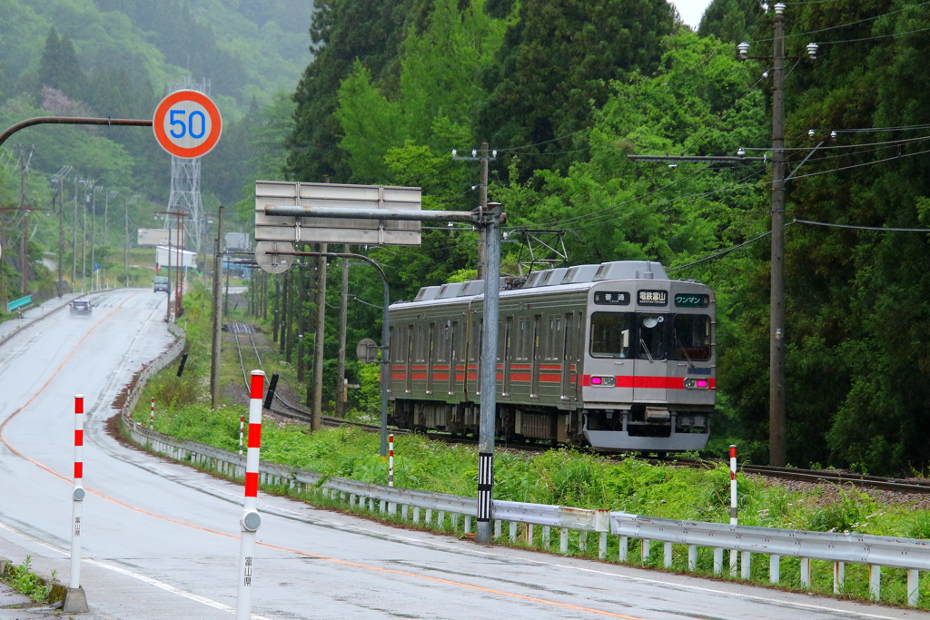 雨の日のステン君～♪後ろ姿だけど・・・