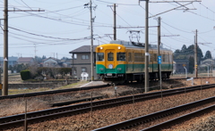 かぼちゃ君~♪