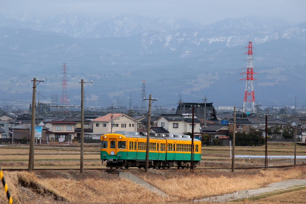 かぼちゃ君～♪