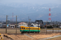 かぼちゃ君～♪