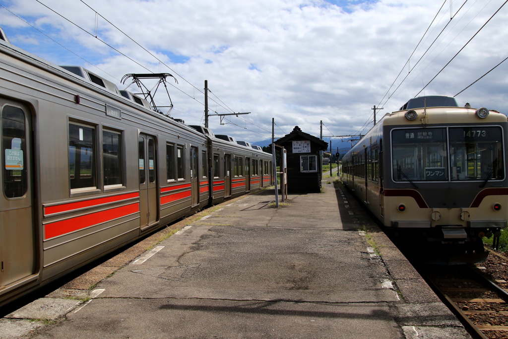 すれ違い・・・ステン君&ダイコン君～♪