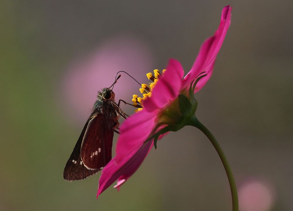 もっと愛して深く愛して！