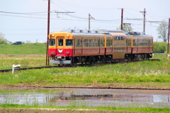 ダブルデッカー君が来たよ♪～2