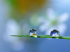 心海ＤＲＯＰＳ　87