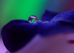 心海ＤＲＯＰＳ　102