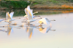 勢い
