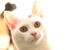きょとん・・・