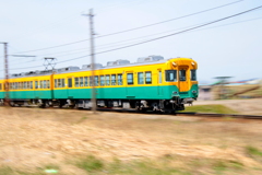 かぼちゃ君～♪