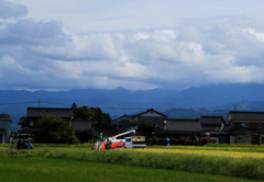 晴れ間・・・稲刈りが進みます^^♪