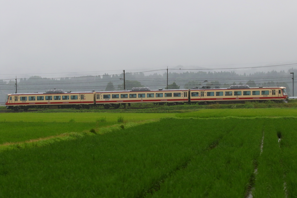 雨の中走ります