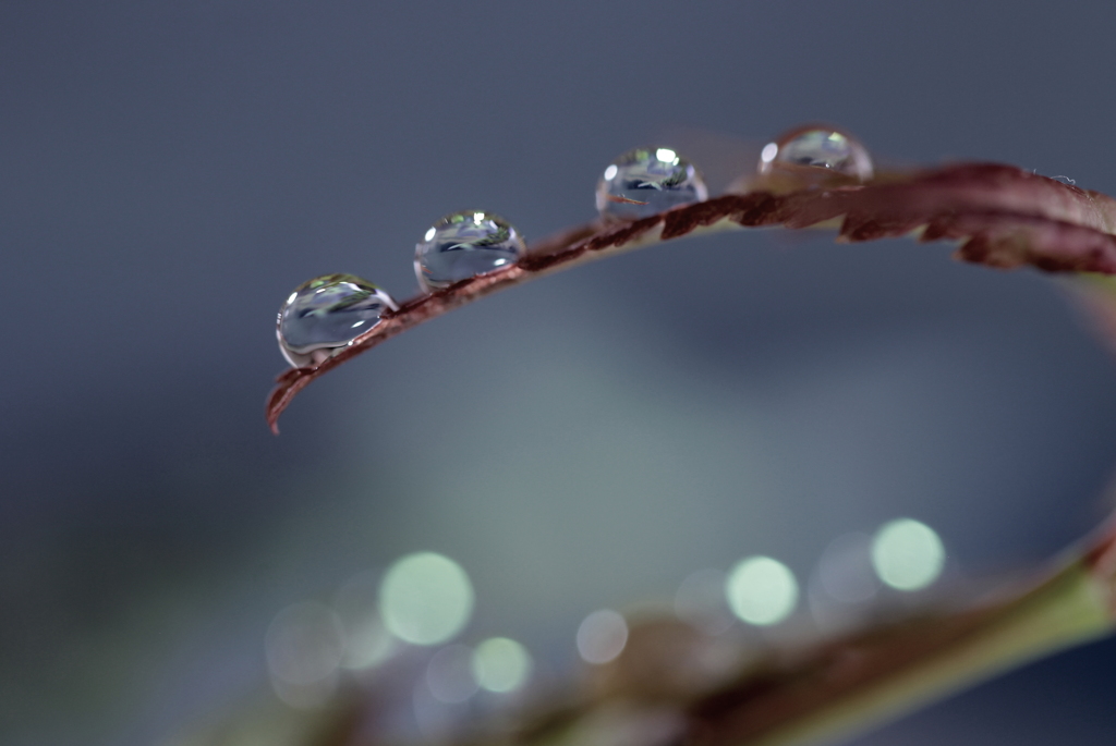 龍の背に乗って～♪