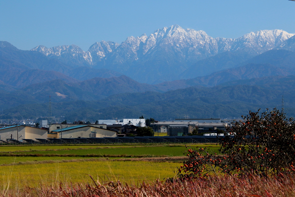 立山連峰に雪が・・・