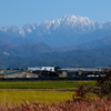 立山連峰に雪が・・・