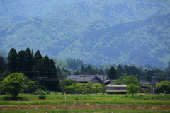 緑の中を走ります～♪