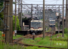 ダイコン電車のすれ違い