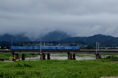 ブルー君~♪
