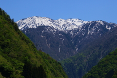 山