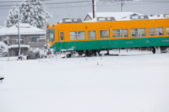 雪の中の、かぼちゃ君～♪