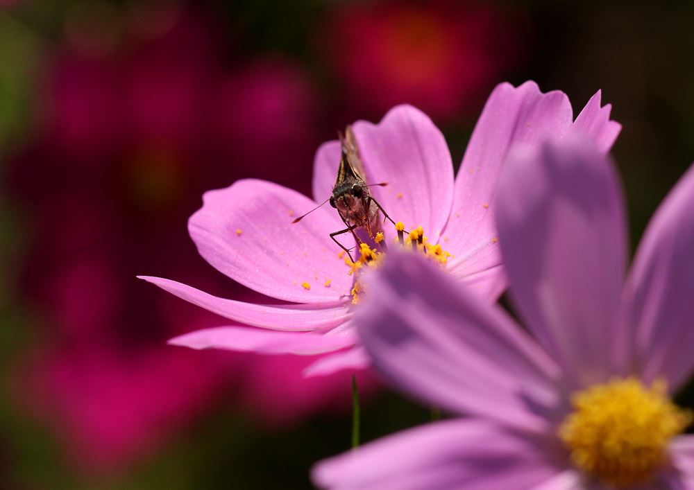目と目があって