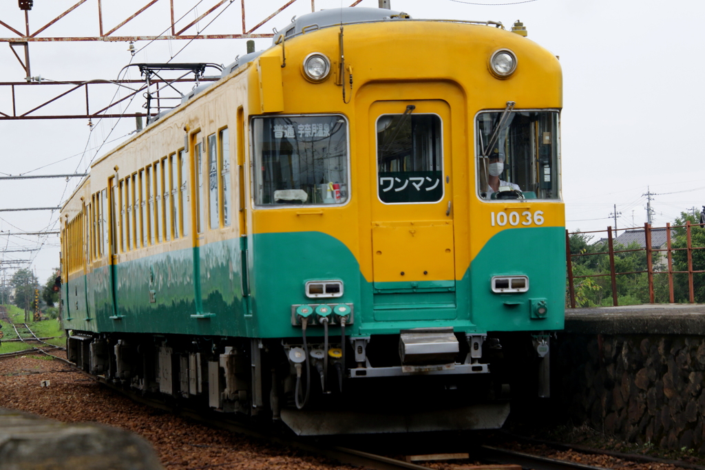 かぼちゃ君~♪